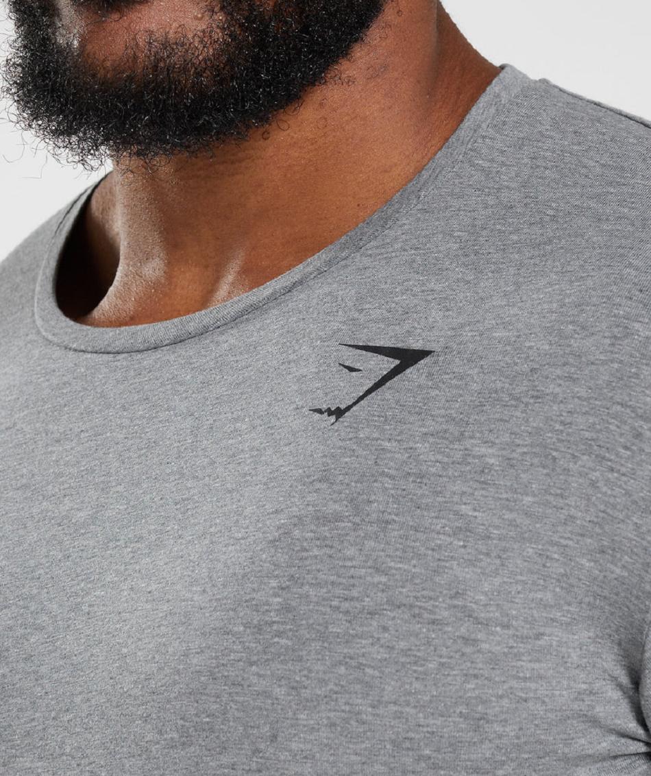 T Shirts Gymshark Essential Hombre Gris | CO 3314LIS